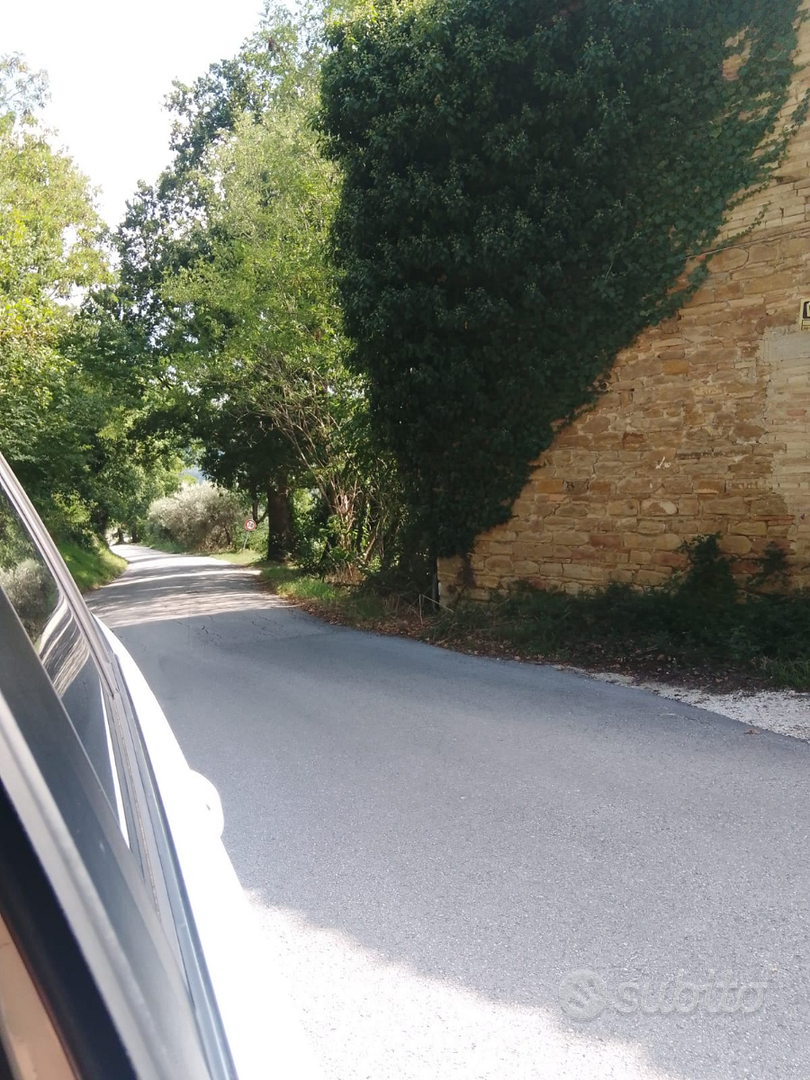 Rustico con terreno - Vista 3