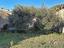 Immagine 9