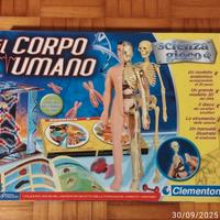 Scienza & gioco - Il corpo umano