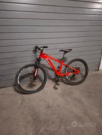 bici bottecchia