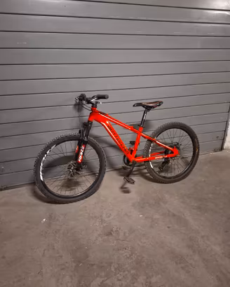 bici bottecchia