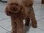 Immagine 1