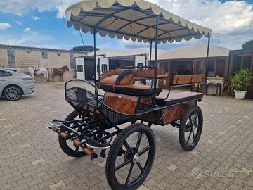 Carrozza maratona