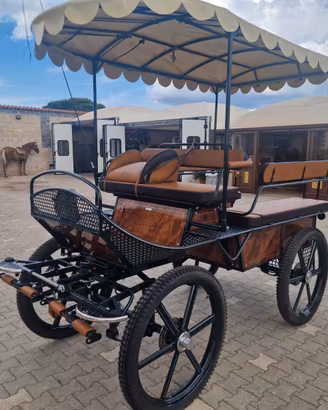 Carrozza maratona