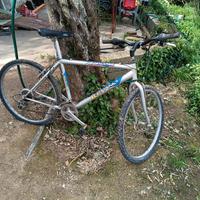 bicicletta MTB legnano 