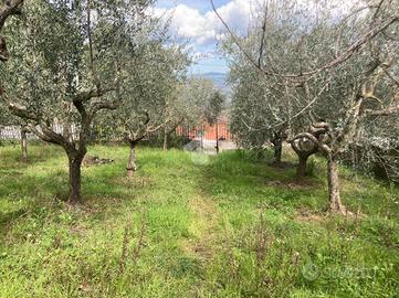 CASA SEMINDIPENDENTE A TORRECUSO