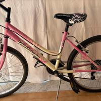 Bicicletta Lombardo Design