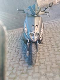 f12r preparato alfo racing 
