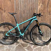 Bianchi Methanol Countervail 9.1