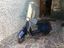 Immagine 3