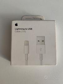 Apple ORIGINALE ricarica IPhone Lightning USB 1mt