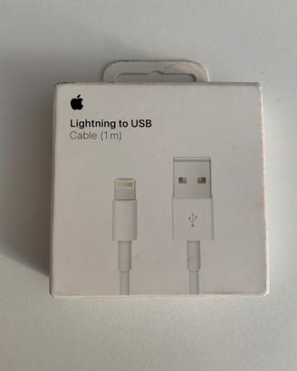 Apple ORIGINALE ricarica IPhone Lightning USB 1mt