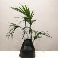 Borsa Louis Vuitton Sac D'épaule PM pelle epi nera