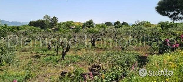 Terreno agricolo 3.200mq zona doc a castiglione - Altro