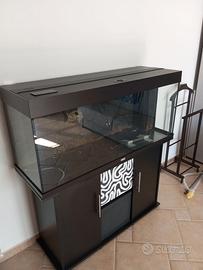 Acquario