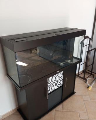 Acquario
