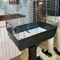 Gabbia spaziosa e robusta per uccelli domestici