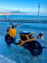Honda zoomer 50 ISCRITTO ASI PERMUTE