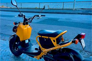 Honda zoomer 50 ISCRITTO ASI PERMUTE