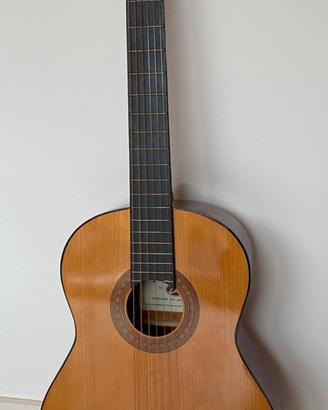 Chitarra classica Spencer by Eko