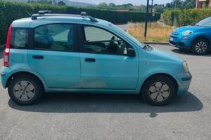 Panda 2006
