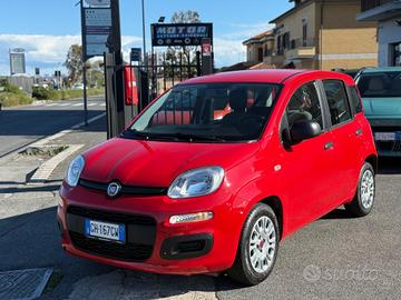 Fiat Panda 1.0 firefly hybrid Uff. FIAT ITALIA