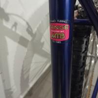 MTB Ronzoni vintage taglia L 