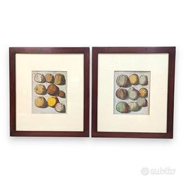 Coppia INCISIONI del SETTECENTO -  MELE