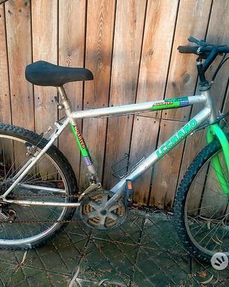 Biciclette varie misure