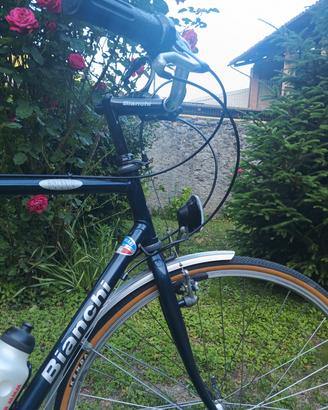 Bianchi Alicanto ooottima