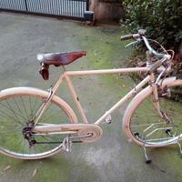 bicicletta Taurus