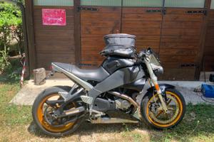 BUELL MOTO