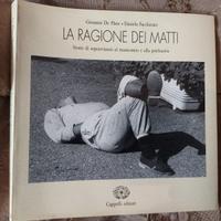 La ragione dei matti. Storie di sopravvisuti 1991