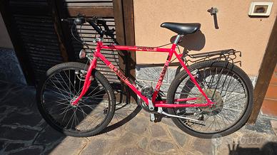 Mountain bike
