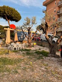 Appartamento Debbi's Home Misano Brasile vicino Ri