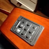 chitarra acustica elettrificata IBANEZ Performance