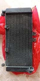 Radiatore Honda Hornet 900