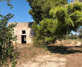 Casa colonica con terreno di 81.000 mq