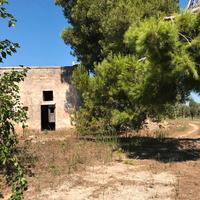 Casa colonica con terreno di 81.000 mq