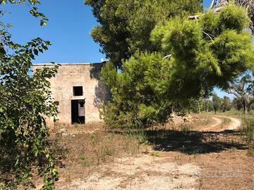 Casa colonica con terreno di 81.000 mq