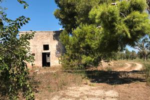 Casa colonica con terreno di 81.000 mq