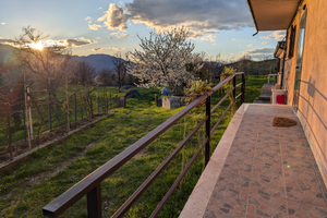 Casa appartamento taverna estiva Roma