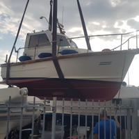 Gozzo sciallino 20