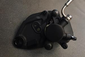 Pinza freno posteriore Triumph