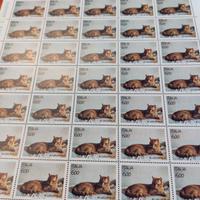 Foglio 50 francobolli Italia 93 il gatto europeo