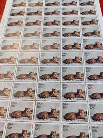 Foglio 50 francobolli Italia 93 il gatto europeo