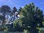 Immagine 25