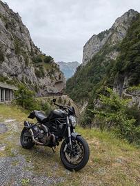 ducati Monster dark 821 2019
