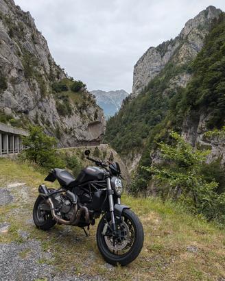 ducati Monster dark 821 2019