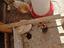 Immagine 2